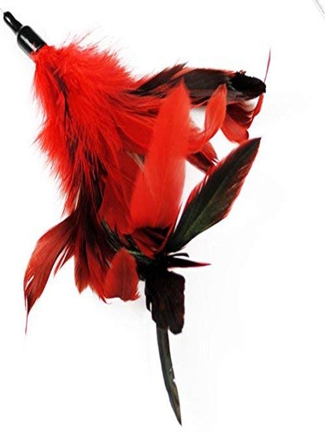 Sage Square 50 cm Jumbo Size Pet Friendly Cat Toy/Feather Teaser Stick/Training Toy for Cat/Kitten/Puppy (1 Pcs) - Image 2